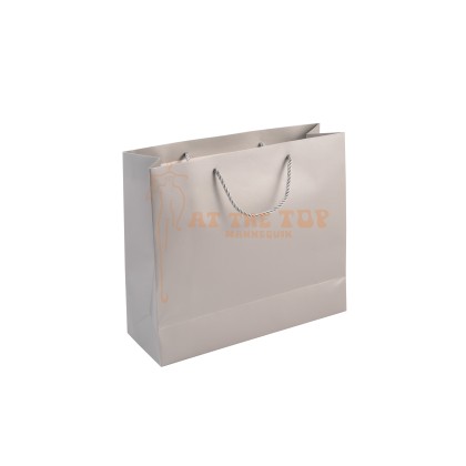 Paper Bag Silver